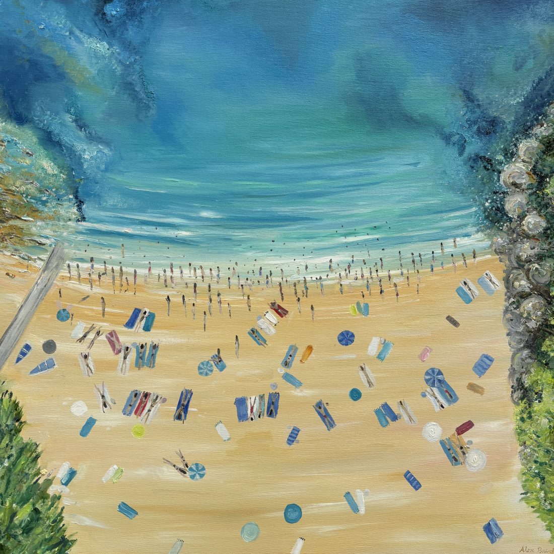 Reef Magic, Shelly Beach